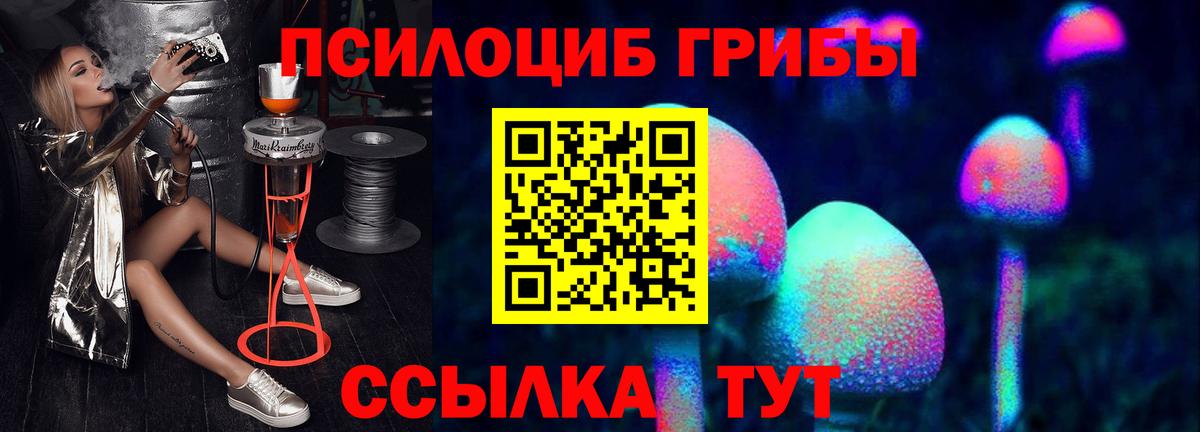 Сосновоборск  Псилоцибиновые грибы Cubensis  Вход с VPN 